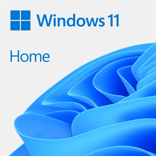 Win 11 Home 64Bit Eng Intl 1pk DSP OEI DVD