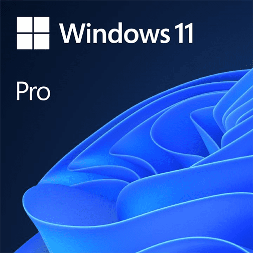 Win 11 Pro GGK 64Bit Eng Intl 1pk DSP ORT OEI DVD